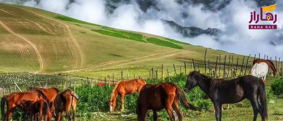 ییلاق سوباتان