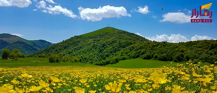 پارک ملی دیلیجان