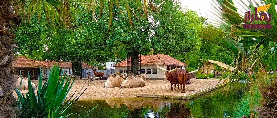 تصویری از باغ وحش آرتیس آمستردام